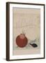 Shellfish-Totoya Hokkei-Framed Art Print