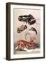 Shellfish-null-Framed Art Print