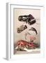 Shellfish-null-Framed Art Print