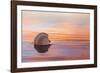 Shellflection-Chris Moyer-Framed Photographic Print