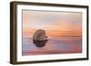 Shellflection-Chris Moyer-Framed Photographic Print