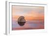 Shellflection-Chris Moyer-Framed Photographic Print