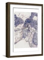 Shells 1-Urban Epiphany-Framed Art Print