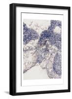 Shells 1-Urban Epiphany-Framed Art Print