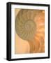 Shells 2-Doug Chinnery-Framed Photographic Print