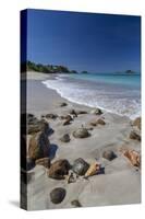 Shells and Rocks Lie on the Beach of Spearn Bay Lit the Tropical Sun and Washed by Caribbean Sea-Roberto Moiola-Stretched Canvas