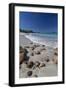 Shells and Rocks Lie on the Beach of Spearn Bay Lit the Tropical Sun and Washed by Caribbean Sea-Roberto Moiola-Framed Photographic Print