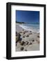 Shells and Rocks Lie on the Beach of Spearn Bay Lit the Tropical Sun and Washed by Caribbean Sea-Roberto Moiola-Framed Photographic Print