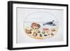 Shells and Shellfish, 16th Century-Joris Hoefnagel-Framed Giclee Print