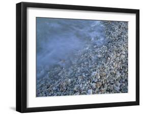 Shells at Beach, Sanibel Island, Florida-Rolf Nussbaumer-Framed Photographic Print