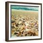 Shells Beach II-Lisa Hill Saghini-Framed Photographic Print