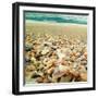 Shells Beach II-Lisa Hill Saghini-Framed Photographic Print