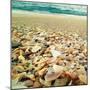 Shells Beach II-Lisa Hill Saghini-Mounted Photographic Print