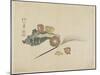 Shells, C. 1830-Hogyoku-Mounted Giclee Print