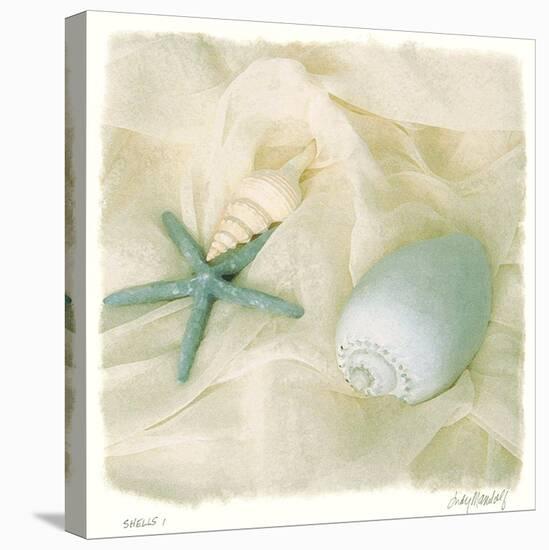 Shells I-Judy Mandolf-Stretched Canvas