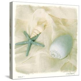 Shells I-Judy Mandolf-Stretched Canvas