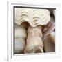 Shells I-Nicole Katano-Framed Photo