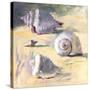 Shells I-Dale Payson-Stretched Canvas