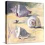 Shells I-Dale Payson-Stretched Canvas