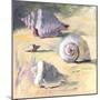 Shells I-Dale Payson-Mounted Giclee Print
