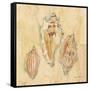 Shells I-Cheri Blum-Framed Stretched Canvas