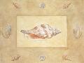 Just the Print