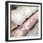 Shells II-Nicole Katano-Framed Photo