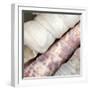 Shells II-Nicole Katano-Framed Photo