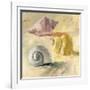 Shells II-Dale Payson-Framed Giclee Print