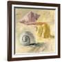 Shells II-Dale Payson-Framed Giclee Print