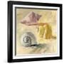 Shells II-Dale Payson-Framed Giclee Print