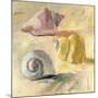 Shells II-Dale Payson-Mounted Giclee Print