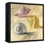 Shells II-Dale Payson-Framed Stretched Canvas