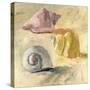 Shells II-Dale Payson-Stretched Canvas