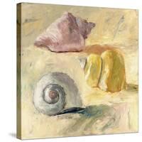 Shells II-Dale Payson-Stretched Canvas