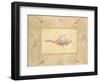 Shells II-unknown Bell-Framed Art Print