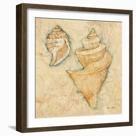 Shells II-Cheri Blum-Framed Art Print