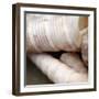 Shells III-Nicole Katano-Framed Photo