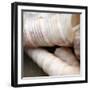 Shells III-Nicole Katano-Framed Photo