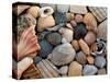 Shells on Edisto Beach, Edisto Beach State Park, South Carolina, USA-Scott T. Smith-Stretched Canvas