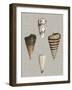 Shells on Linen III-Vision Studio-Framed Art Print