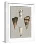 Shells on Linen III-Vision Studio-Framed Art Print