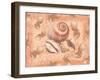 Shells on Shore-Bee Sturgis-Framed Art Print