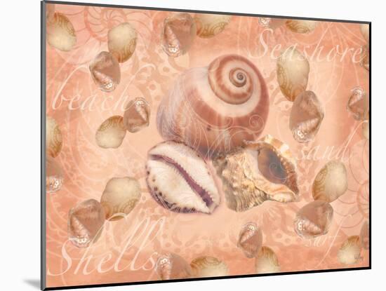 Shells on Shore-Bee Sturgis-Mounted Art Print