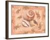 Shells on Shore-Bee Sturgis-Framed Art Print