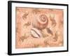 Shells on Shore-Bee Sturgis-Framed Art Print