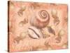 Shells on Shore-Bee Sturgis-Stretched Canvas