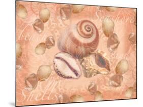 Shells on Shore-Bee Sturgis-Mounted Art Print