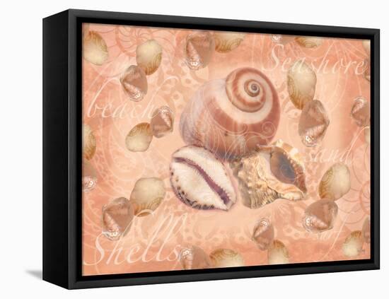 Shells on Shore-Bee Sturgis-Framed Stretched Canvas