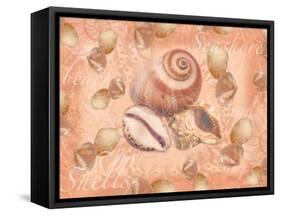 Shells on Shore-Bee Sturgis-Framed Stretched Canvas